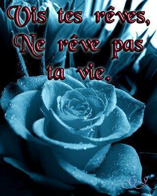 CiTaTiOn...